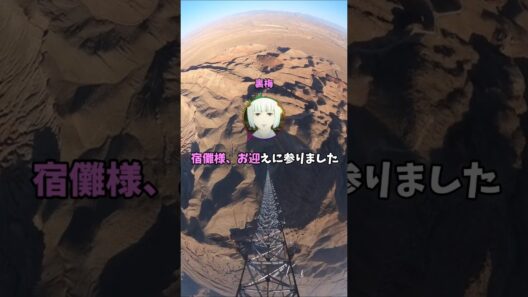 小沢「これは同じ尺度では？」宿儺「小僧はよく分かったな...」【呪術廻戦】