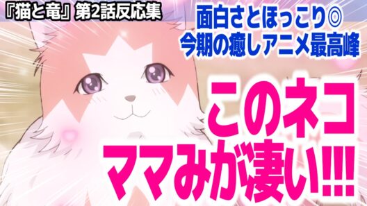 【今期の癒しアニメ】ママにゃんネコがビッグママすぎる！人間だけじゃなく悪魔まで育てるネコがいるアニメ『猫と竜』第2話反応集＆個人的感想【#反応集 #アニメ】