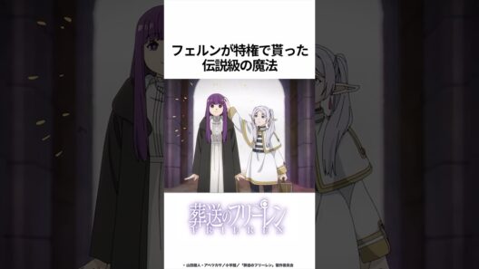 【葬送のフリーレン】フェルンが特権で貰った伝説級の魔法