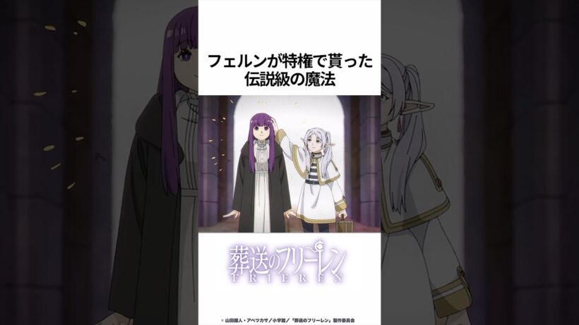 【葬送のフリーレン】フェルンが特権で貰った伝説級の魔法