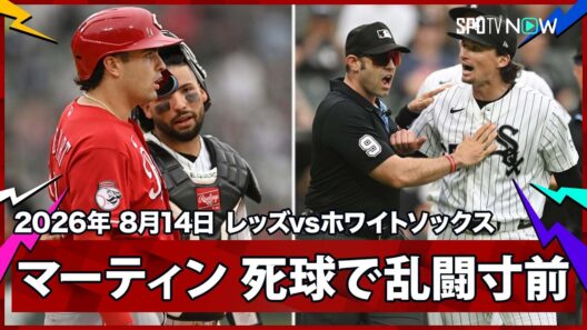 【デービス・マーティン あわや乱闘...スチュワートの頭部付近に死球で退場】レッズvsホワイトソックス MLB2026シーズン 8.14
