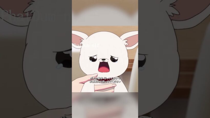 #多聞くん今どっち！？#TamonsBSide #福原多聞 #木下うたげ #animeshorts #tvshow #アニメ
