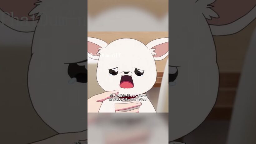 #多聞くん今どっち！？#TamonsBSide #福原多聞 #木下うたげ #animeshorts #tvshow #アニメ