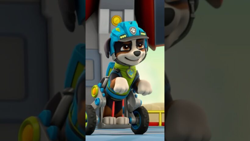 PAW Patrol's Dino Catchphrases! ROAR! 🦖🐾