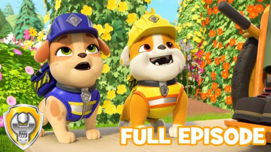 Rubble Loves Summer! (Full Episode Compilation) | Rubble - Paw Patrol | Cartoons For Kids