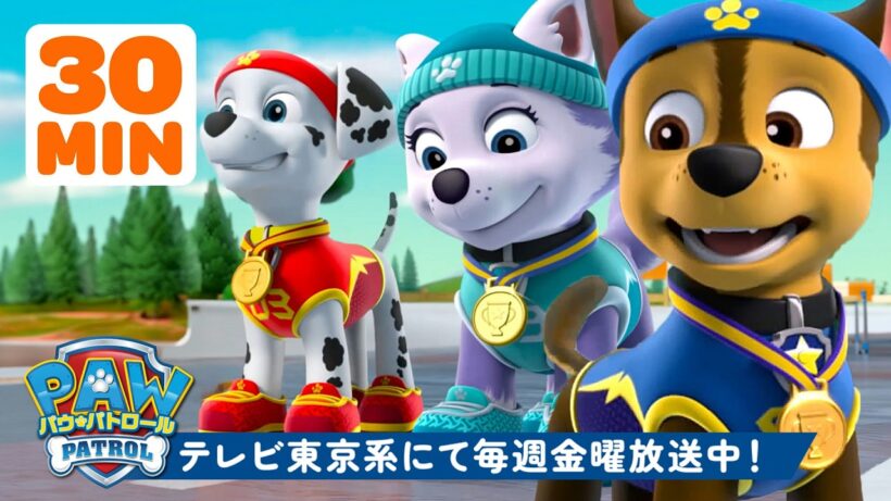 パウ・パトロール | パウ・パトロール、ゴールへダッシュ！#2 🏆🏁 | 30分 | テレビ東京系にて放送中
