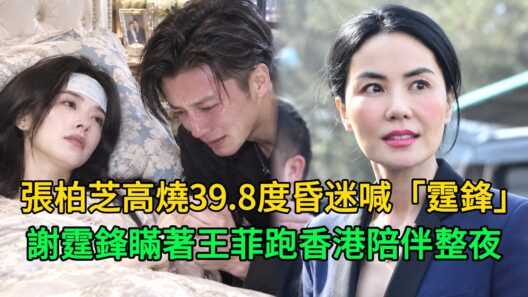張柏芝高燒昏睡喊出「霆鋒」，大兒子緊急連線生父，謝霆鋒瞞著王菲直奔香港陪伴整夜！#張柏芝 #謝霆鋒 #王菲 #谢霆锋