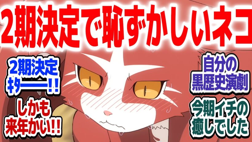 【猫と竜 最終回】2期制作決定！！おじさんと猫と人間たちの物語は続く！！『猫と竜』第12話反応集＆個人的感想【#反応集 #アニメ】