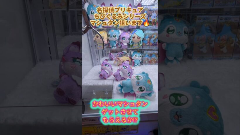 (名探偵プリキュア) #クレーンゲーム #プライズ獲得 #アミューズメント限定 ＃マシュタンぬいぐるみ