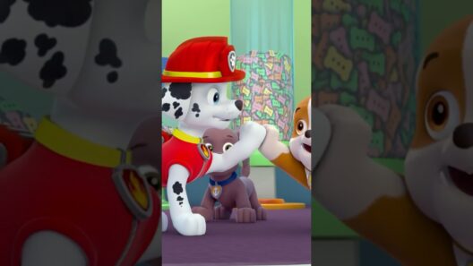 PAW Patrol Sing the Friendship Song! 🎶🐾