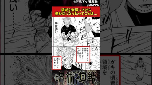 【呪術廻戦】領域を会得してから使わなくなったってことは... #呪術廻戦 #反応集
