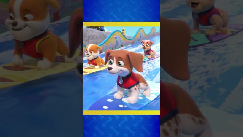 Rubble & Crew Go Surfing w/ Auntie Crane! 🏄🌊