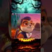 Every Halloween costume for Rubble in the paw patrol #pawpatrol #halloween #zumafan #pawpatrolrubble