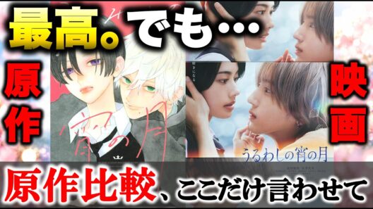 【原作比較】『うるわしの宵の月』なぜ宵は“琥珀じゃないとダメ”なのか？原作比較で見えた「運命」の意味