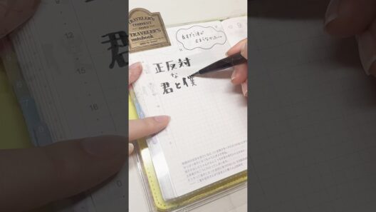 良すぎて涙が止まらなかった… #正反対な君と僕 #絵日記 #手帳